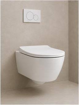 Concealed Cistern WC Set