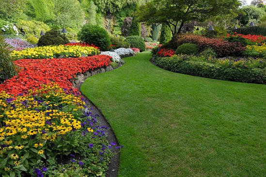 Garden Landscaping Design Package
